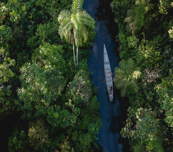 Retiro de desintoxicación de lujo en la Amazonía