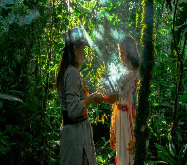 Memorias del Bosque: retiro de plantas medicinales en la Amazonía ecuatoriana